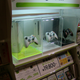 Illustration for article titled Xbox Japans Totally Perfect In-Store Display